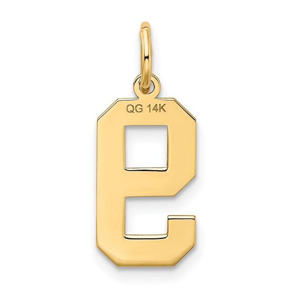 14k Yellow Gold, Jersey Collection, Medium Number 9 Pendant - Picture 3 of 5
